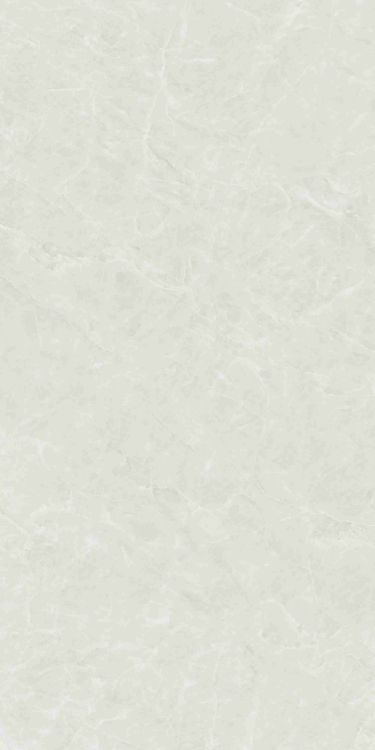 Kraken Light Polished 24 x 48